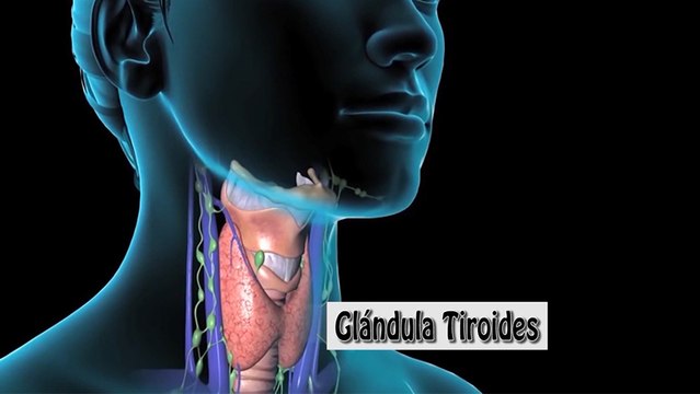 bd-problemas-tiroides-trastornos-menstruales-030120