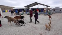 Öğrenciler hayvan barınağında köpekleri besledi