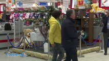 REPORTAJE CAMPAÑA DE PRODUCTOS NAVIDEÑOS 2019 ROSCONES EN EL HIPERMERADO E´LECLERC