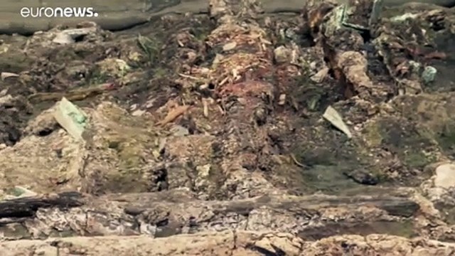 Cina: l'esercito di terracotta cresce . Scoperti altri 200 guerrieri