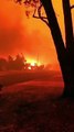 Incendios forestales que rodean a la ciudad australiana de Mallacoota que provoco la evacuación de mas de 4 mil personas a la playa de la ciudad
