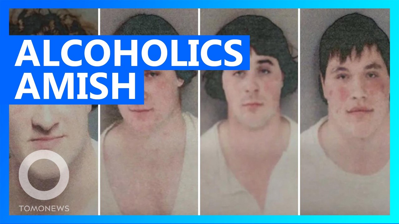 Four Amish men were arrested for driving a horse and buggy drunk ...