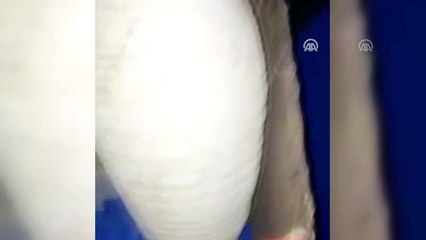 Tarihi eser kaçakçılığı operasyonunda 1 şüpheli yakalandı