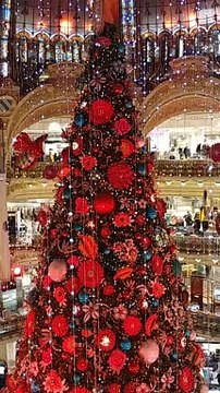 Grand sapin de NOEL 2019 des Galeries LAFAYETTE PARIS Bvd HAUSMANN