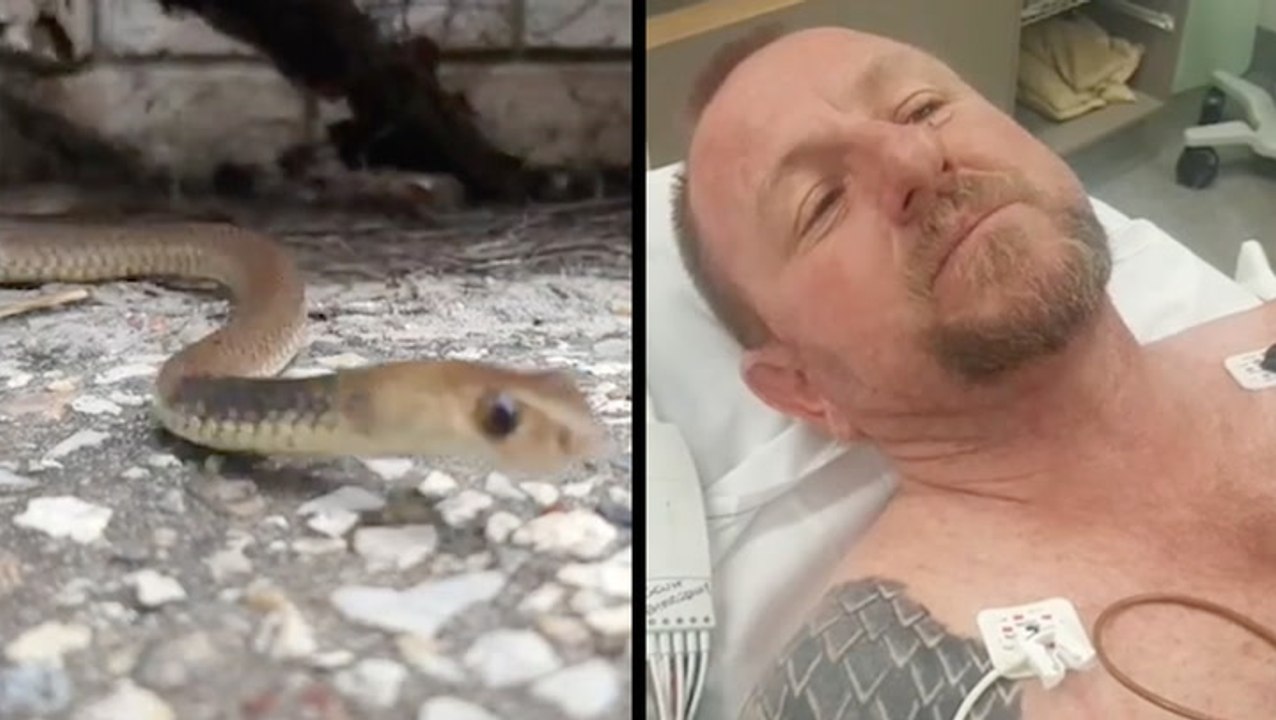 Man Barely Survives Venomous Snake Bite