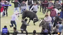 [이 시각 세계] 목숨 건 페루 황소 축제 '아수라장'