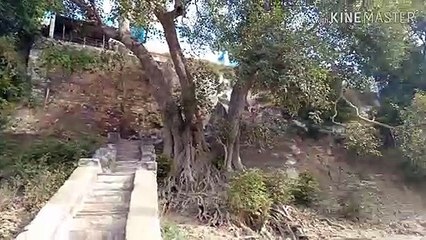 महाकुंभ मेला प्रयागराज में आए तो प्राचीन उल्टा क़िला के दर्शन जरूर करें