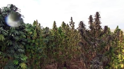 Documental sobre los horrores del ejército de EEUU en Afganistán