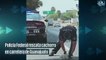 No te pierdas el tierno momento en que un policía rescata a un cachorro en la carretera