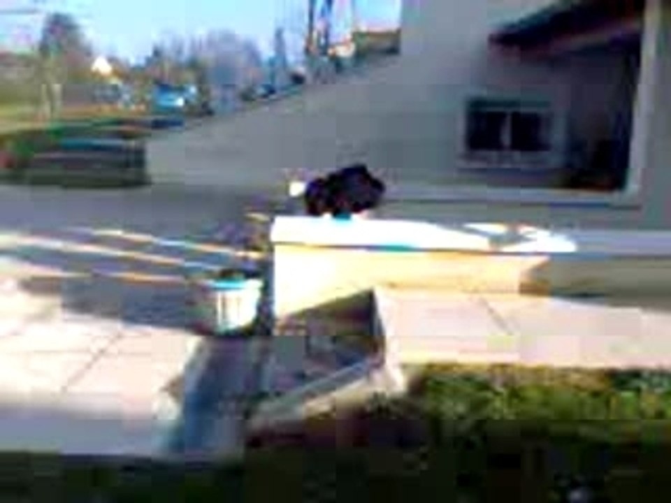 Ptit saut a trotinette