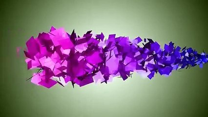 El vídeo de la ecografía que muestra a dos gemelas peleándose en el vientre de su madre