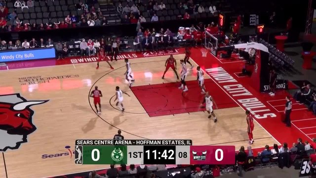 Chandler Hutchison Posts 14 points & 10 rebounds vs. Wisconsin Herd
