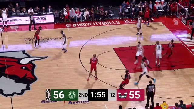 Adam Mokoka Posts 14 points & 11 rebounds vs. Wisconsin Herd