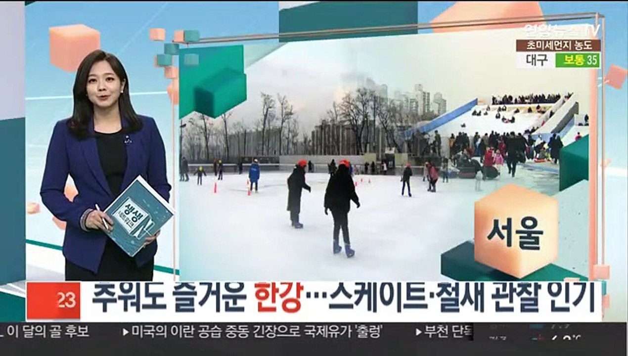 추워도 즐거운 한강…스케이트·철새 관찰 인기