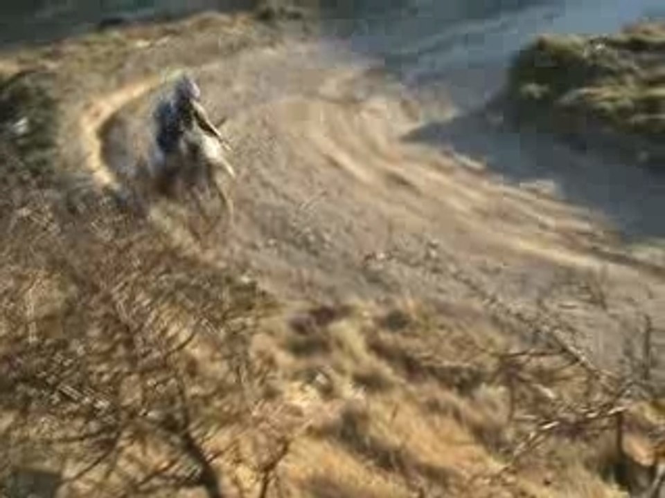Cross ben2