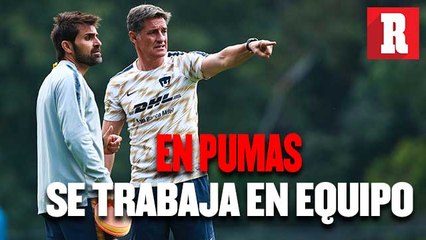 Pumas trabaja en conjunto