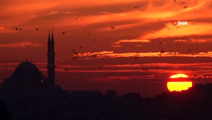 Gün batımında kuşların dansı mest etti