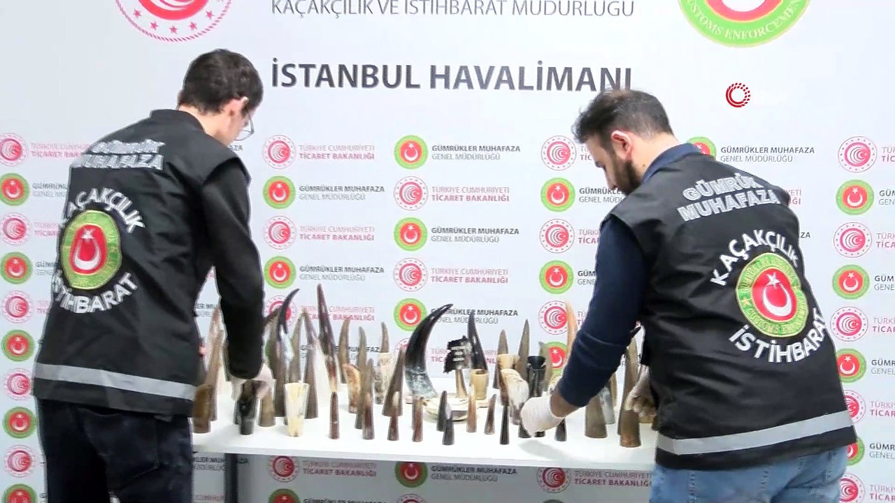 İstanbul Havalimanı’nda 'Bufalo boynuzu' operasyonu