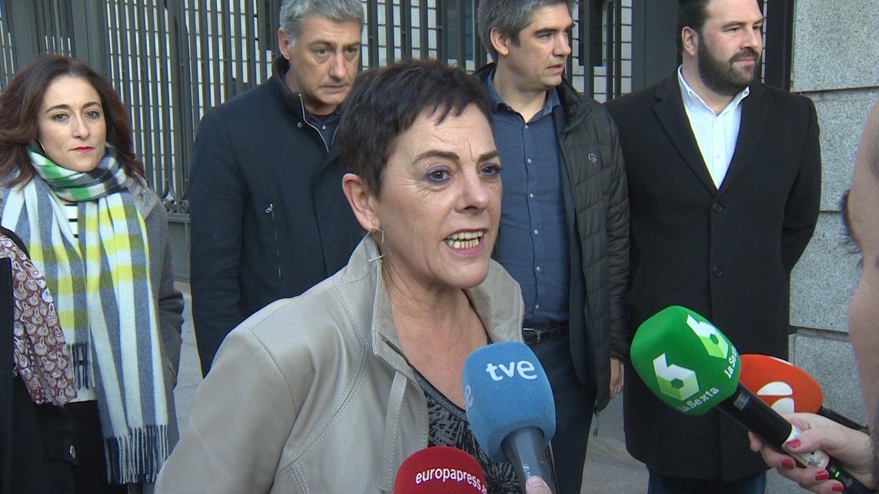 Bildu: "Asistimos a una operación de la derecha para descarrilar el Gobierno"