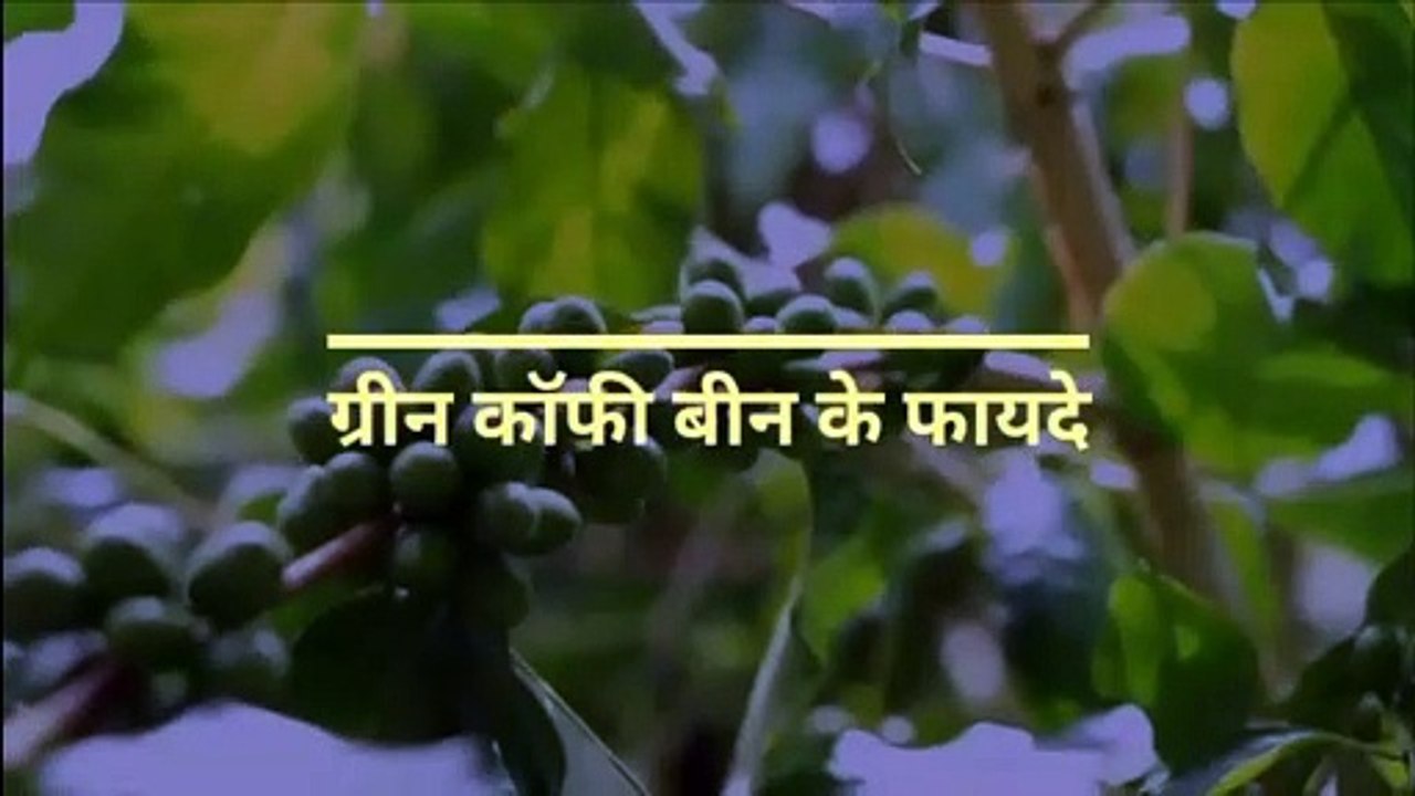 Green Coffee Benefits | Green Coffee for Weight Loss