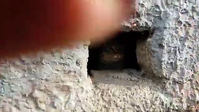 Cute homeless cats || homeless Cat's eating food || How Do homeless cat eat food