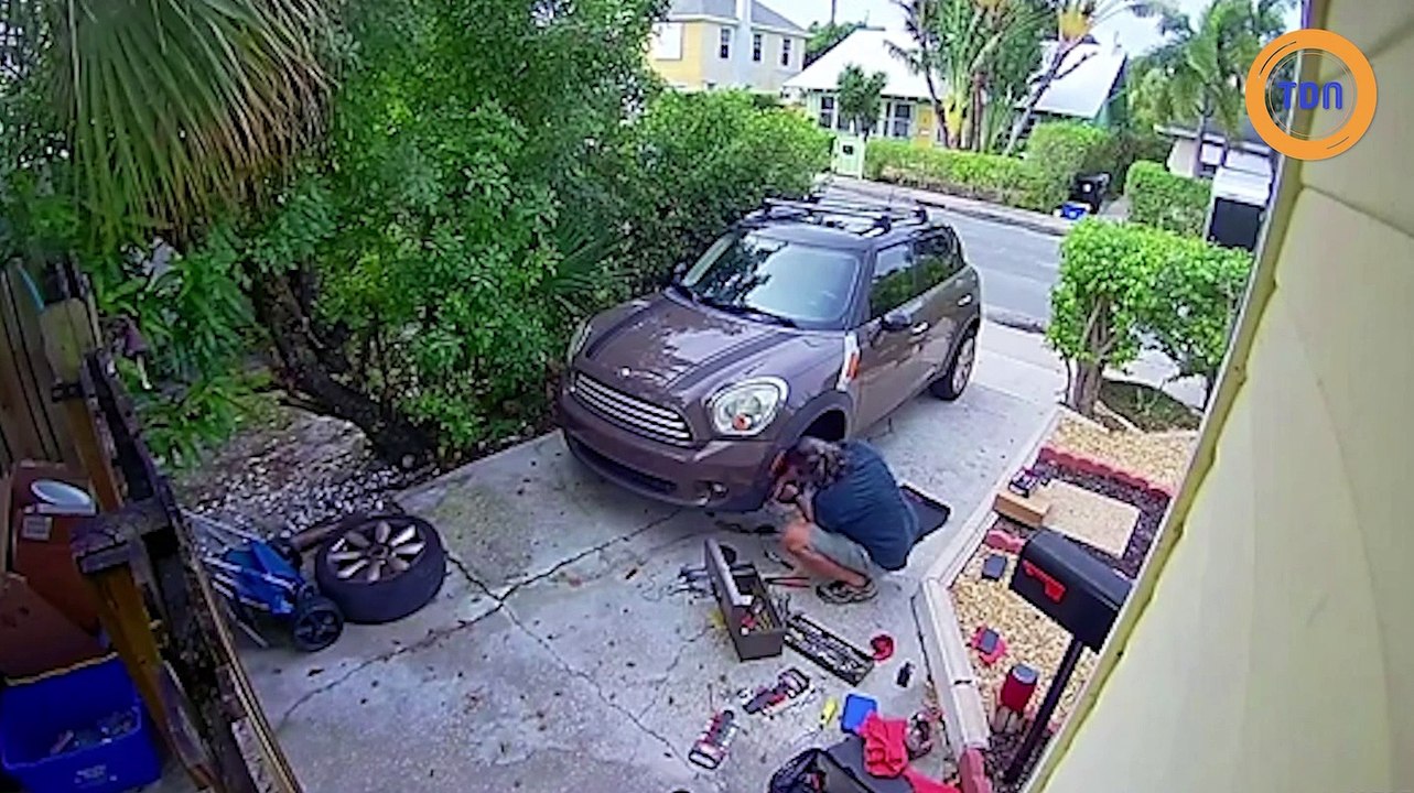 Les bruits bizarres de ce perroquet alertent la police