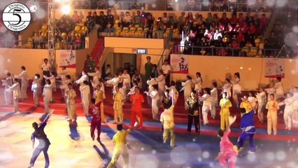 Martial Arts Festival -22- Festival de Artes Marciales