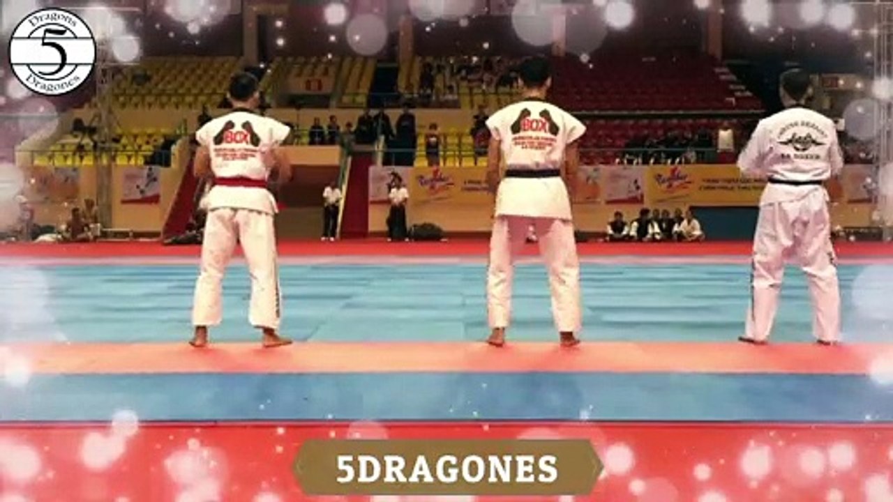 Martial Arts Festival -24- Festival de Artes Marciales