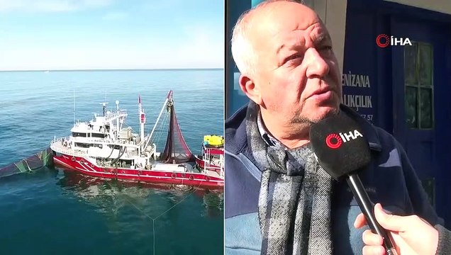 Havalar Soğumayınca Hamsi Gürcistan'a Kaçtı