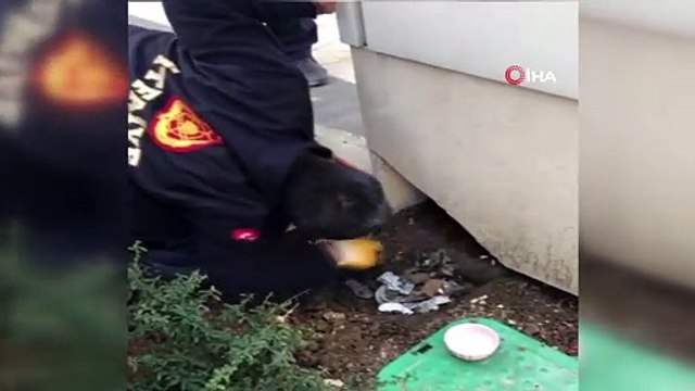 Veteriner kliniği çıkışı sahibinden kaçarak panoya saklanan ev kedisini itfaiye kurtardı