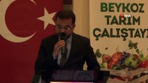 Beykoz'un tarım varlığı 'Beykoz Tarım Çalıştayı'nda ele alındı