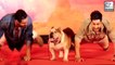 Bollywood Celebs Playing With Dogs Is Too Cute To Handle
