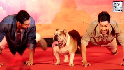 Bollywood Celebs Playing With Dogs Is Too Cute To Handle
