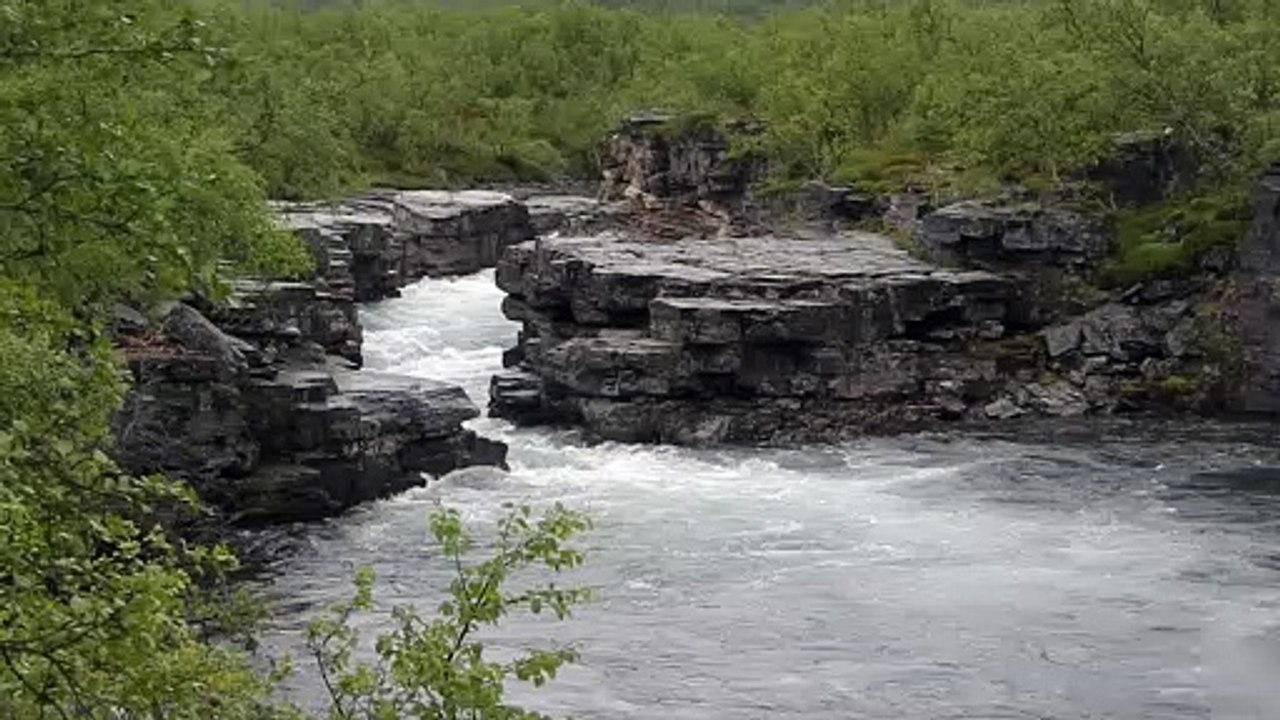 Beautifull wild rever view  | royalty free river clip | No Copy Right Content | Copyright free Video