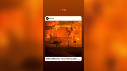 Los influencer se vuelcan con los incendios de Australia