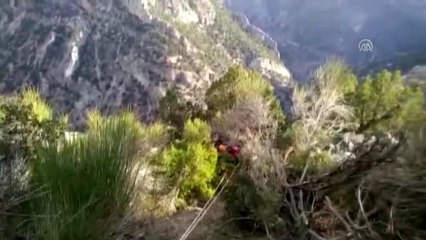 Kuş avlarken uçurumdan düşen kişi kurtarıldı