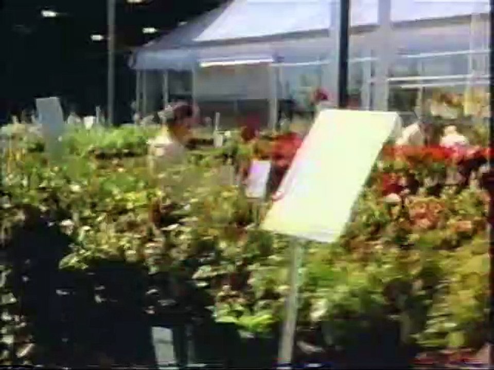 (May 5, 1999) WYOU-TV 22 CBS Scranton/Wilkes-Barre Commercials