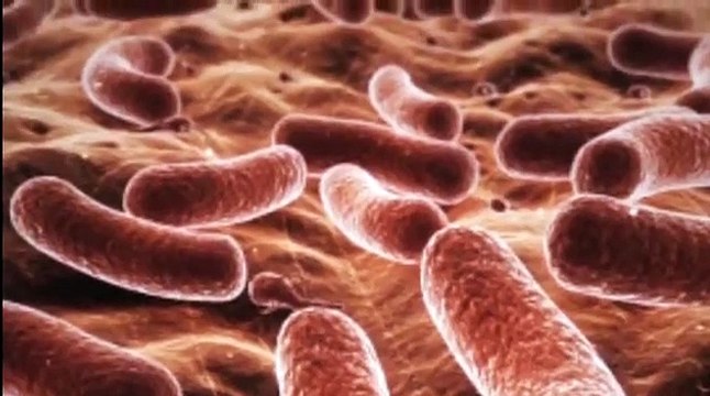 ¿Por qué es tan peligrosa la bacteria Klebsiella? Infecciones nosocomiales