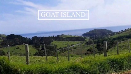 Vlog 4: Snorkeling at Goat Island Marine Reserve New Zealand