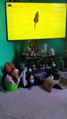 Cat Attacks TV After Seeing Mice