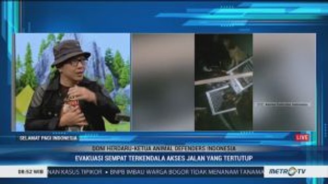 Ketua Animal Defenders Indonesia Sebut Banjir Membuat Hewan Peliharaan Stres