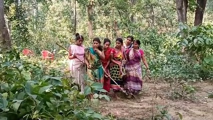 CG Films Shooting & Song Video Comments 🎬🎶