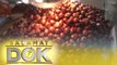 Dr. Mary Grace Macatangay enumerates the health benefits of chestnut | Salamat Dok