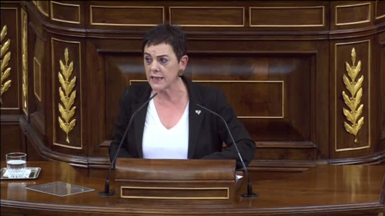 Gritos de "fuera, fuera" desde la bancada de Vox tras la intervención de EH Bildu