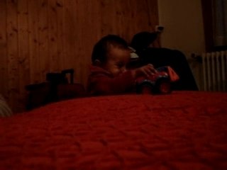 dis camion amin hotel flumet