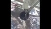 Canada: Un avion de ligne de la compagnie Air Canada Expres perd l’une de ses roues au décollage - Aucun blessé - VIDEO