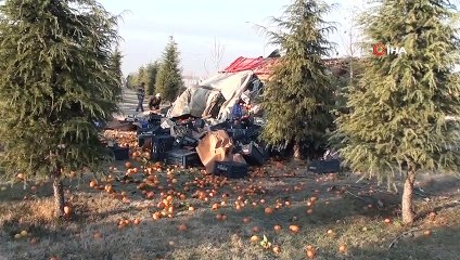 Çekiciden ayrılan sebze yüklü dorse devrildi...Portakal ve limonlar yol kenarına saçıldı