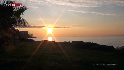 Martılar, balıkçıların yolculuğuna eşlik ediyor