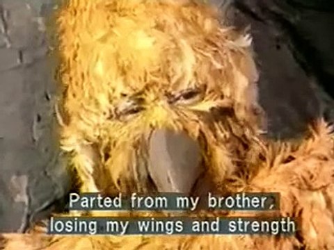 Ramanand Sagar Ramayan || Sampati Samvad ||. Ramayan Ramanand Sagar