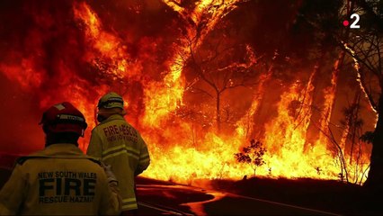 Australie : les ravages des incendies
